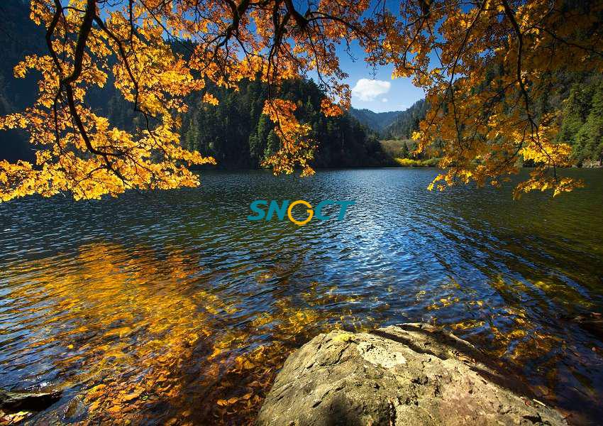 旅游規(guī)劃的主要類型有哪些？