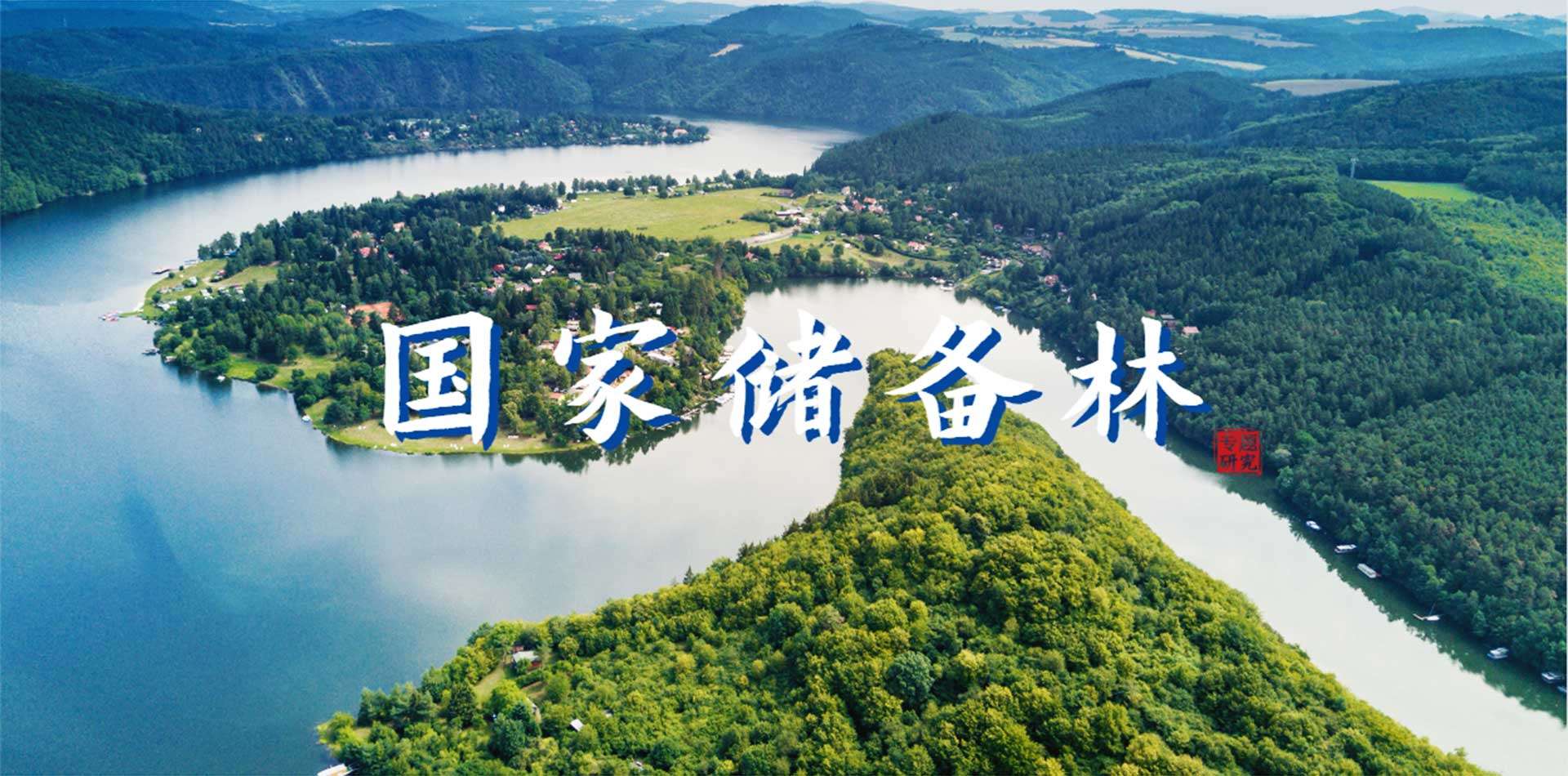 國家儲(chǔ)備林