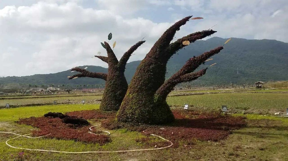 海南：《海南研學(xué)旅游影響力指數(shù)報(bào)告》發(fā)布，探索更加切實(shí)可行的發(fā)展道路！