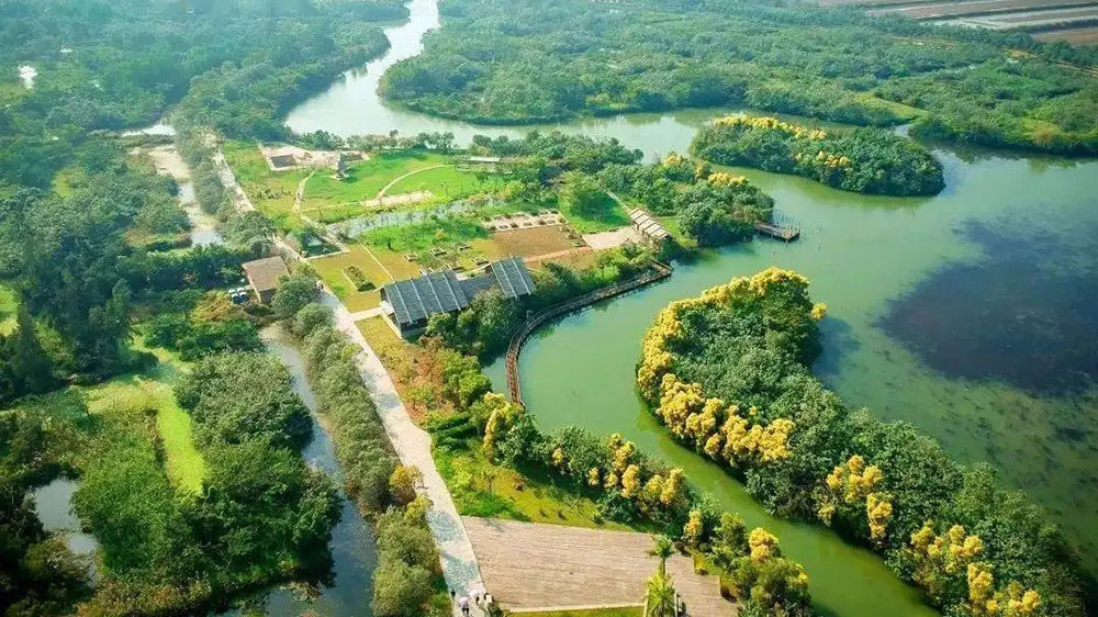 廣州：南沙區(qū)召開(kāi)創(chuàng)建全域旅游示范區(qū)動(dòng)員大會(huì)，奮力開(kāi)創(chuàng)全域旅游發(fā)展的新局面！