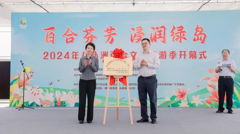 2024年八卦洲百合文化旅游季現場揭牌.jpg